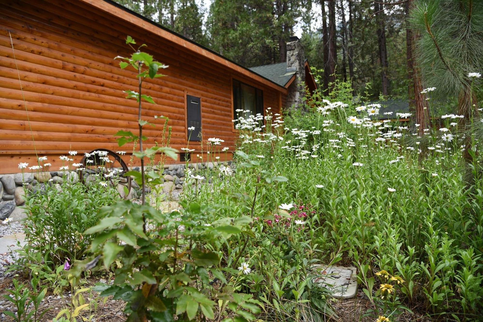 Grizzly Giant Villa Wawona Exterior photo